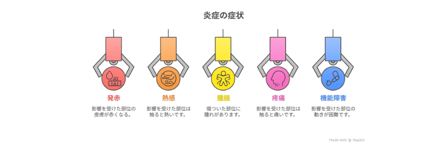 炎症の5大徴候